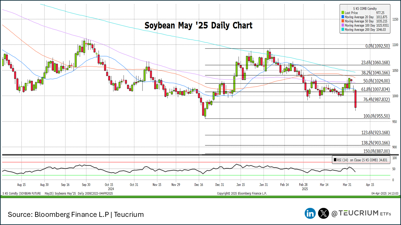 20250404 soybeans