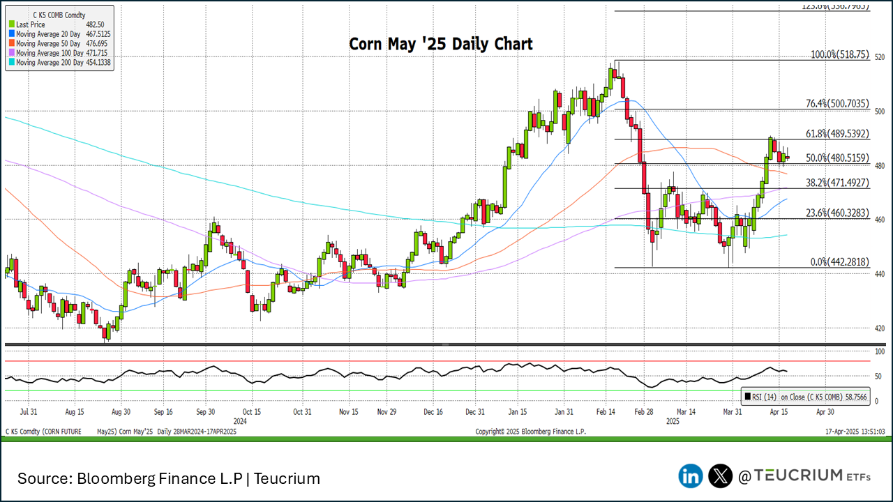 20250417 corn
