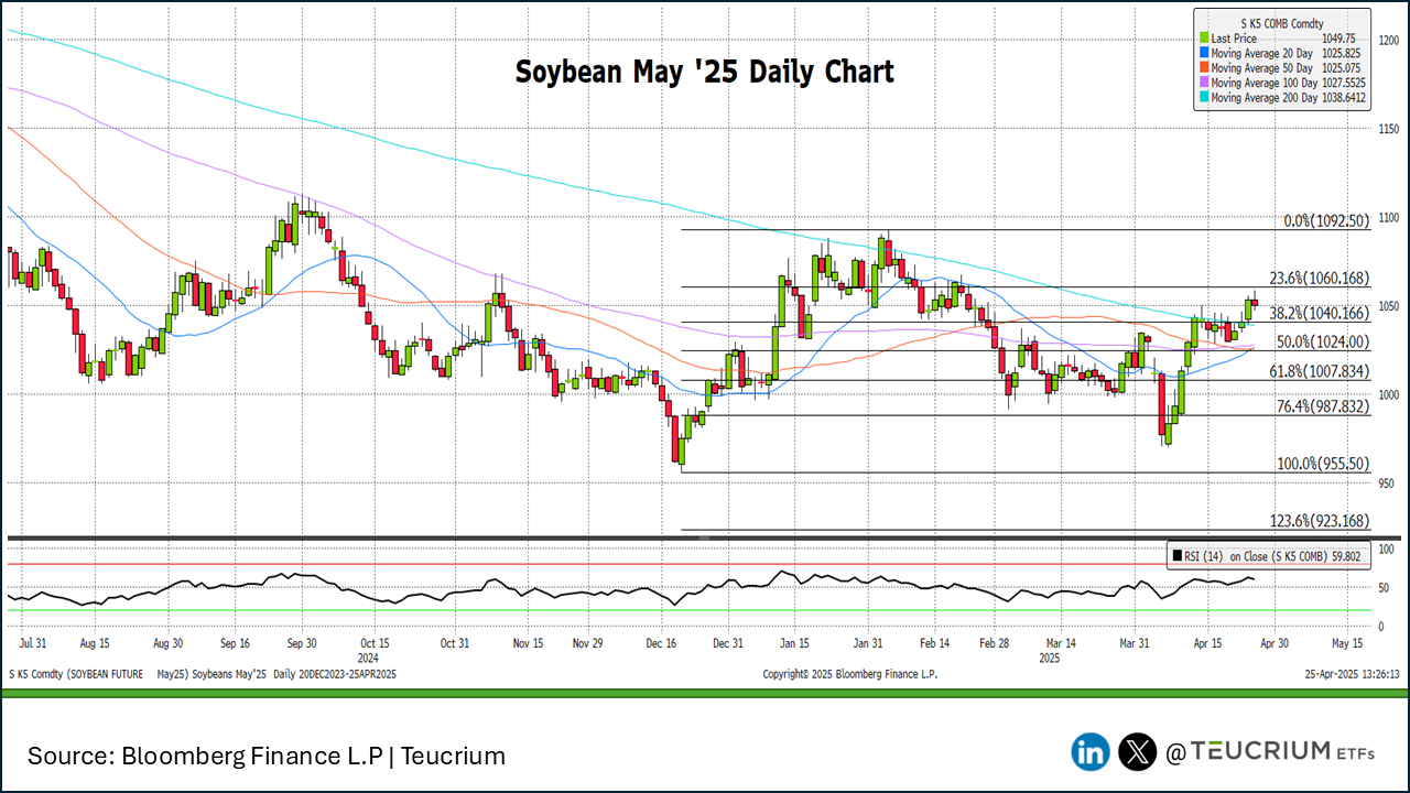 20250425 soybeans