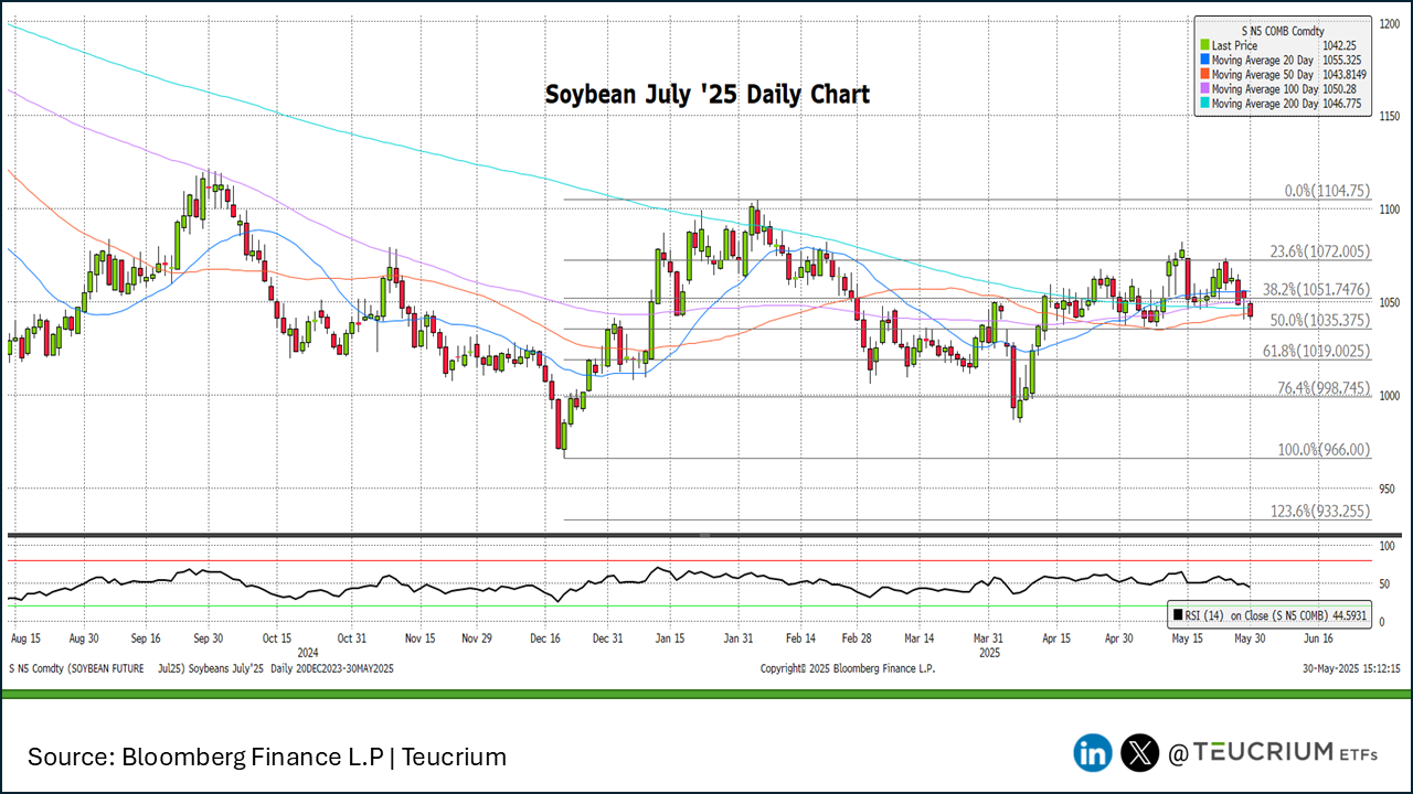 20250530 soybeans