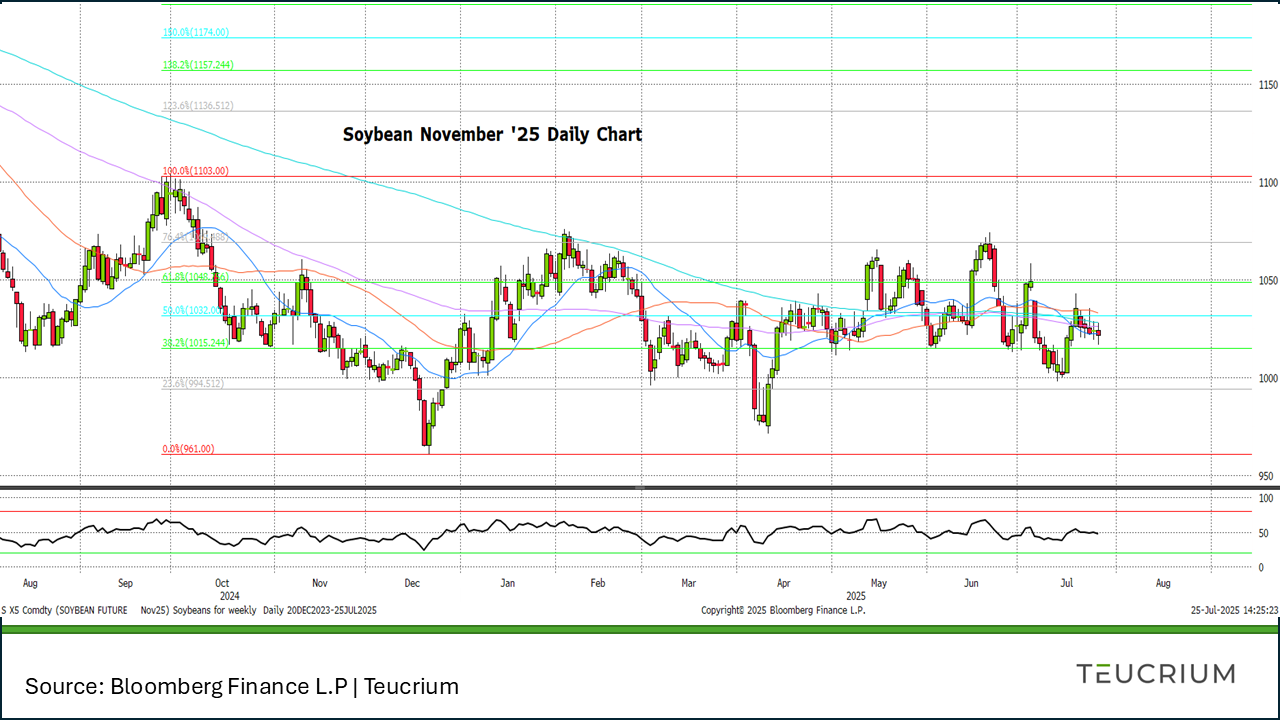 20250725 soybean