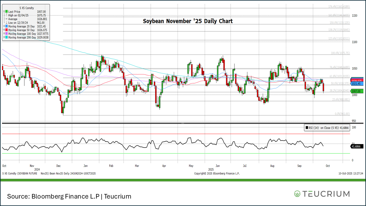 20251010 soybean 