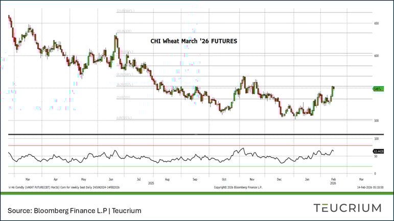 20260213 wheat
