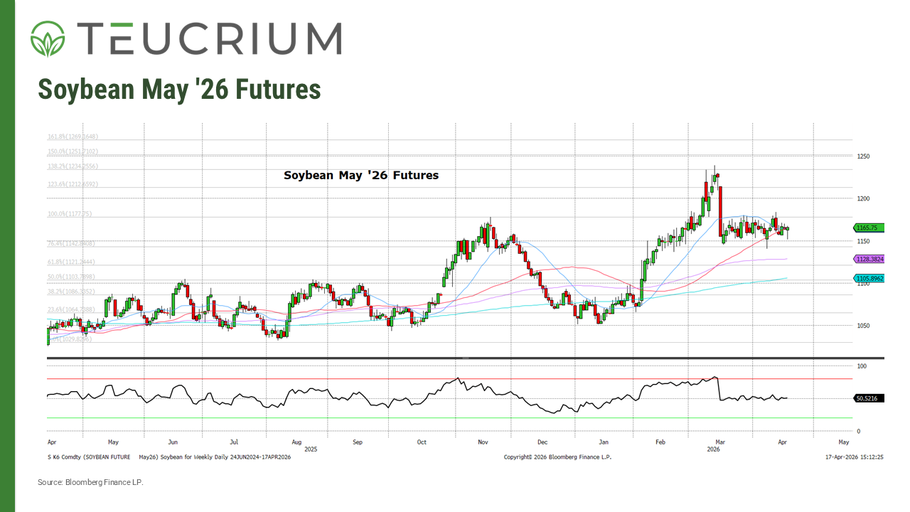20260417 soybeans