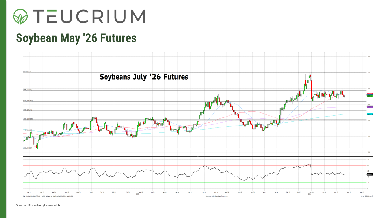 20260424 soybeans