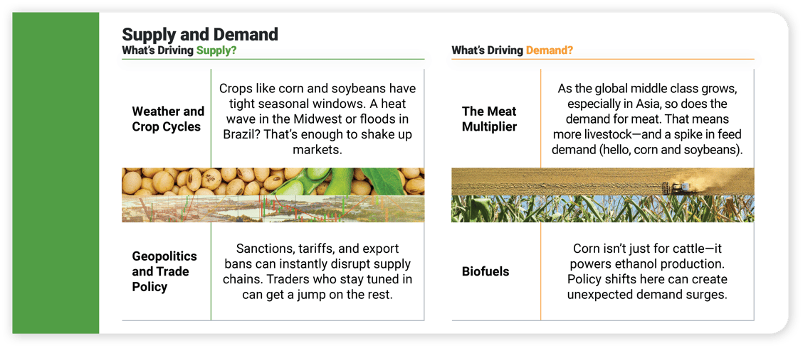 48481 Blog #4 (SDT TOFU) _Trading Opportunities in Agriculture Understanding the Factors Driving Prices_ graphic 1