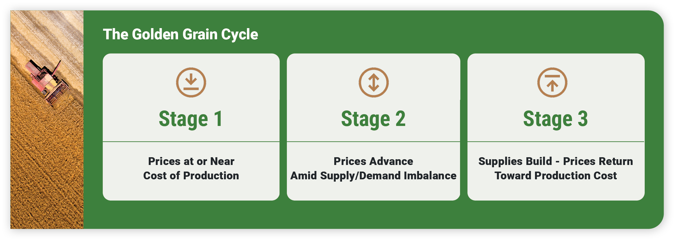57154 TEC - RIA Blog 8 (MOFU) Evaluating the Cyclical Performance Golden Grain Cycle