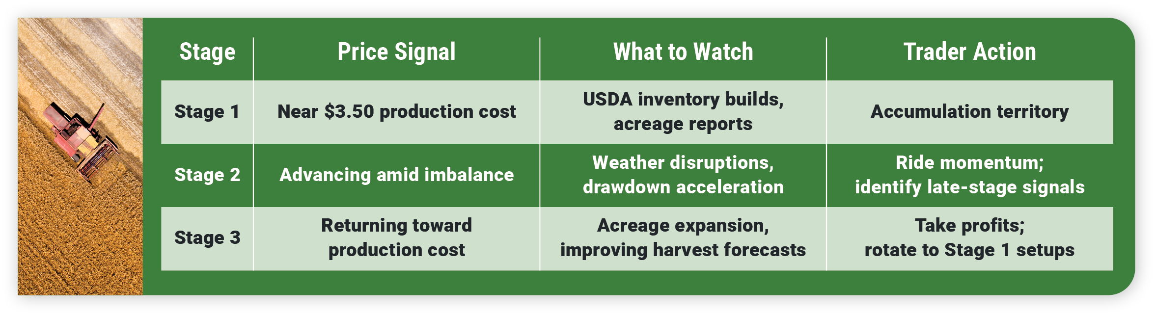 Golden Grain Cycle_Practical Framework - What Should Traders Watch at Each Stage of the Grain Cycle