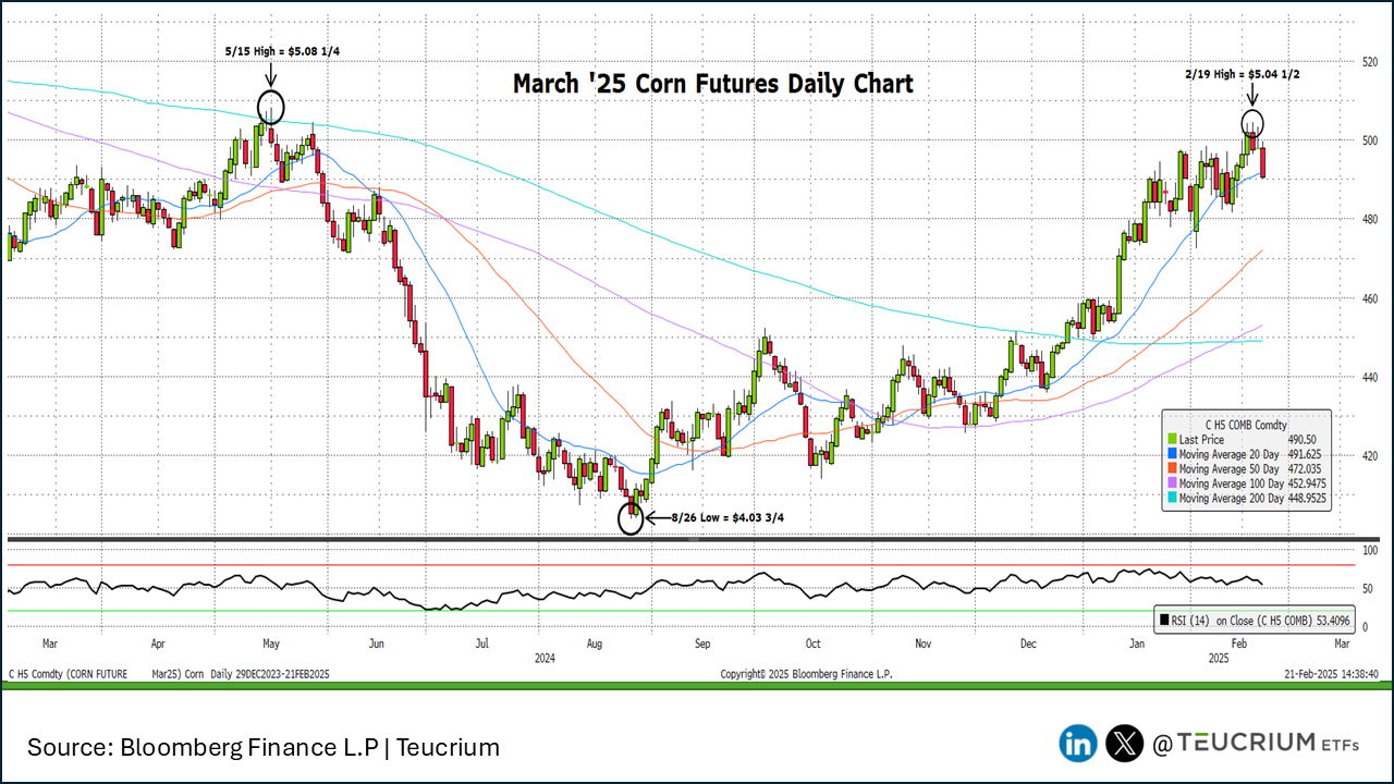 corn 20250221