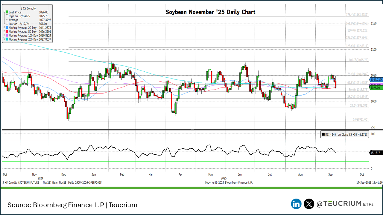 soybeans 20250919