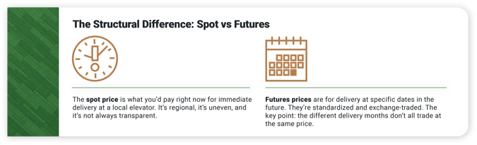 Diagram comparing spot prices and futures prices for agricultural commodities: spot prices reflect immediate local delivery and vary by region, while futures prices are standardized, exchange-traded, and differ across delivery months.