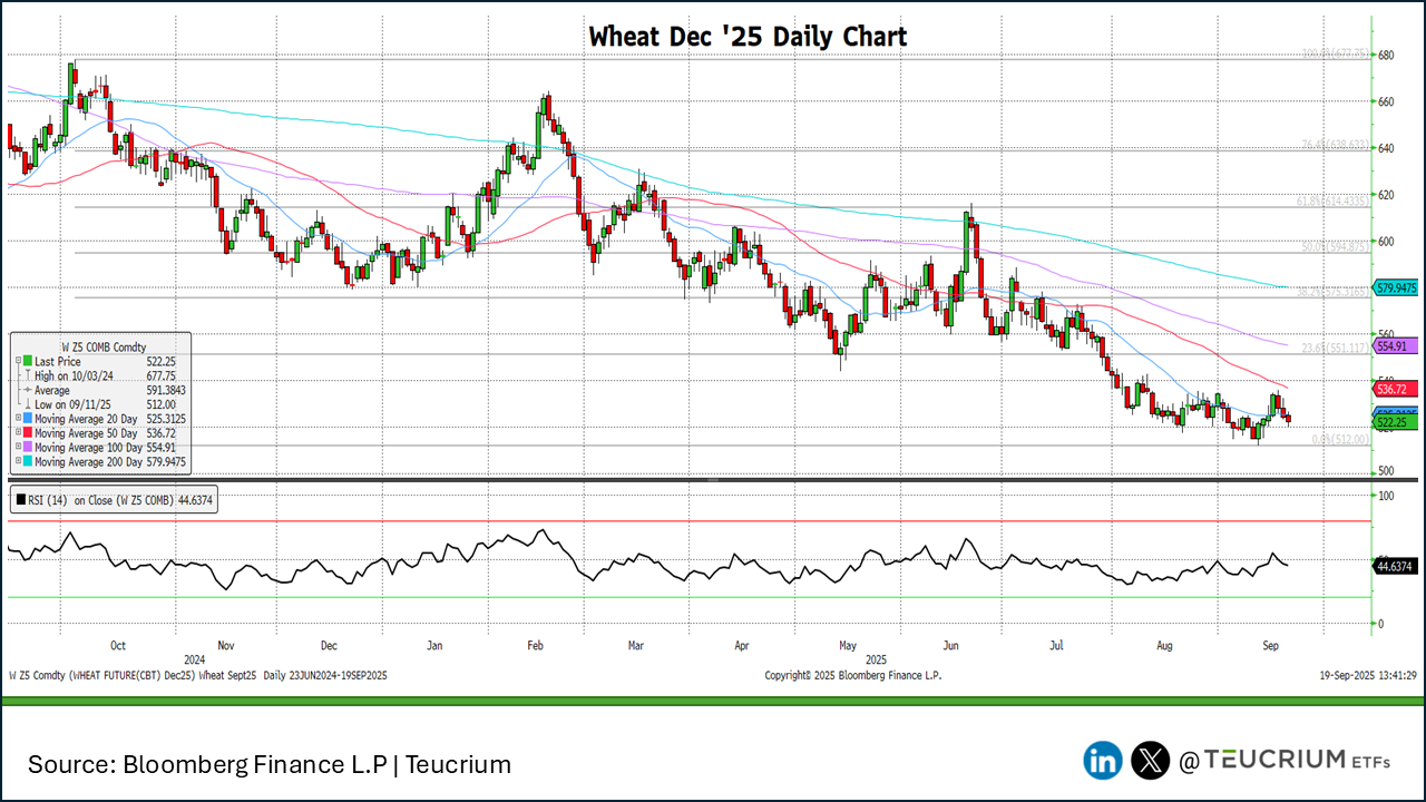 wheat 20250919